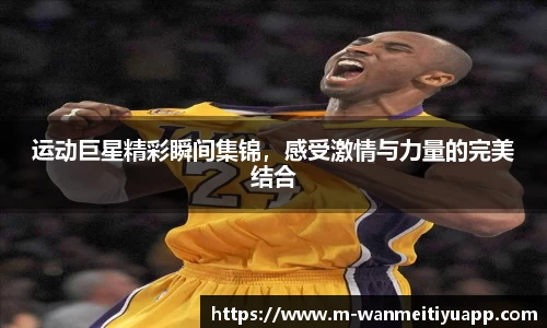 完美体育官网